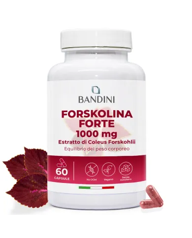 Forskolina - 60 capsule